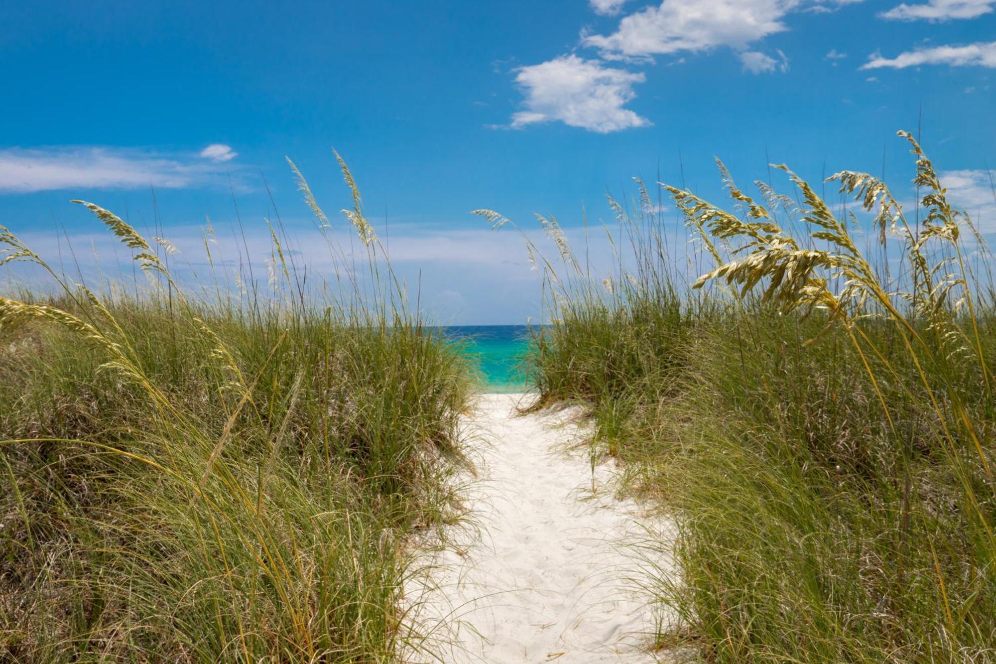 Remarkably Updated 3/2 In Seagrove Highlands - Gulf Views Sleeps 9! Santa Rosa Beach Exterior photo